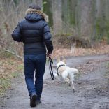 Jagdtrieb bei meinem Hund