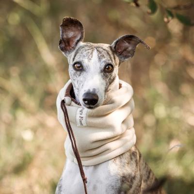 Windhund Snood aus Fleece 