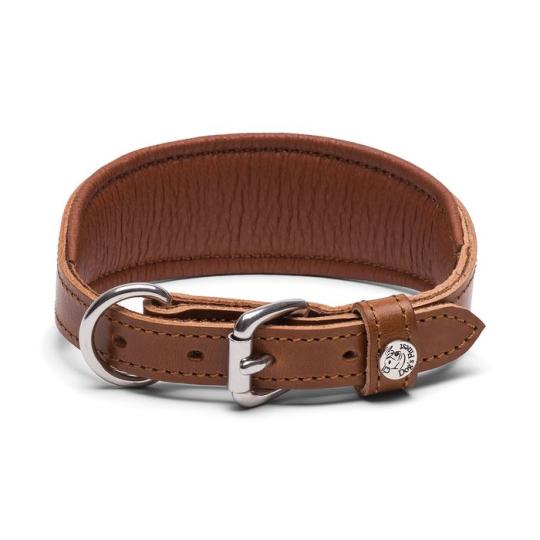Windhundhalsband Whippet einfarbig 