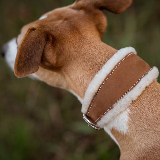 Windhundhalsband Whippet Deluxe mit Lammfell 