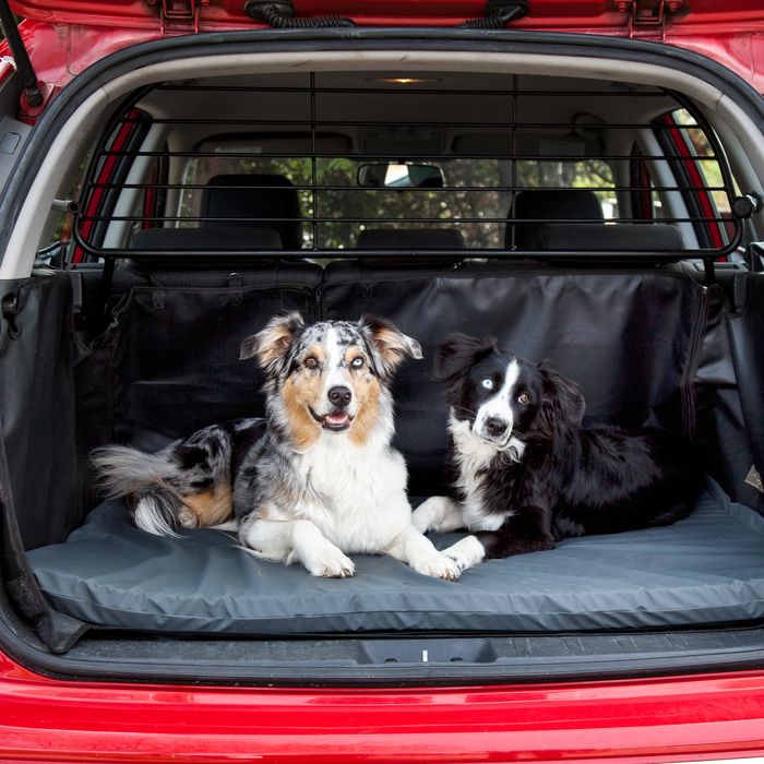 Hundematte Visko deLuxe Auto online kaufen