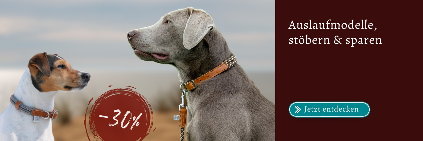 DogsFinest Sale