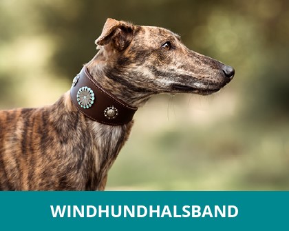 Windhund Halsband
